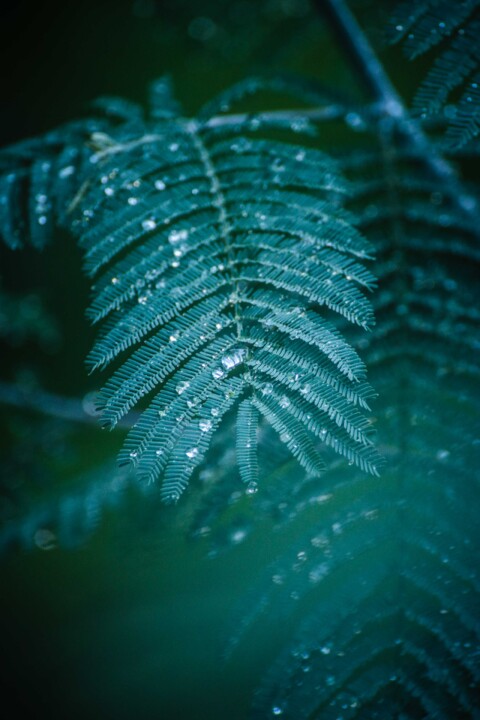 quinta das conchas 1.jpg