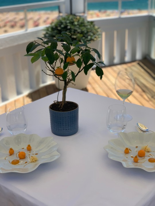 IMG_2372.jpg IMG_2372.jpg