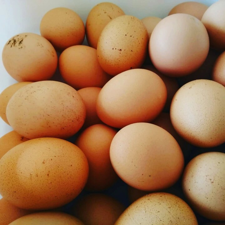 505151205_18483379267066958_7246942632918319807_n.