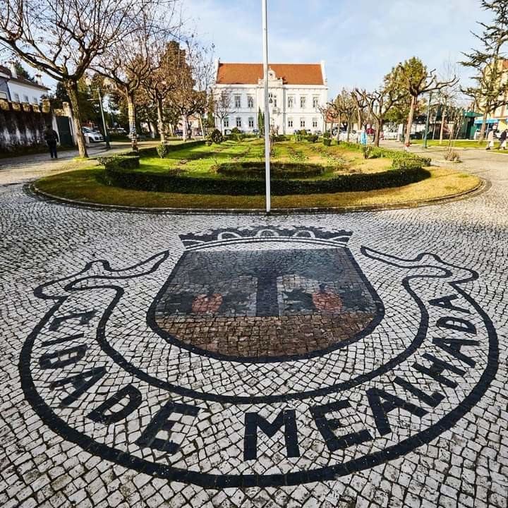 240112441_493453698710434_1243563609335271459_n.jp