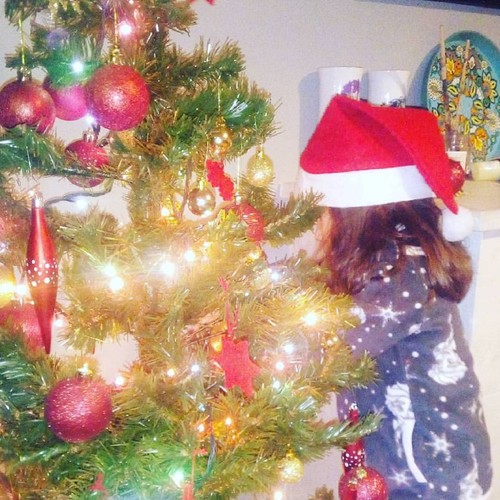 15181628_1263435000366582_3073968366498164277_n.jp