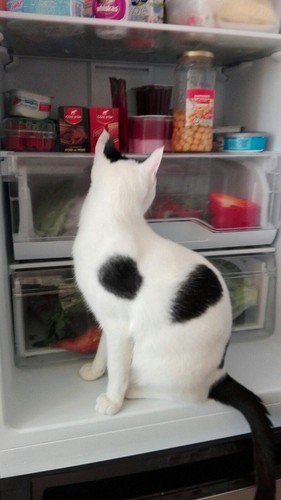 Fotografia de Paula-1.jpg Fotografia de Paula-1.jpg