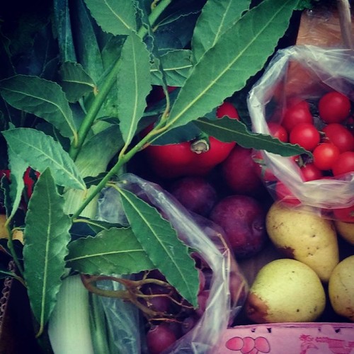 21762079_963826290423799_5084564551456746997_n.jpg 21762079_963826290423799_5084564551456746997_n.jpg