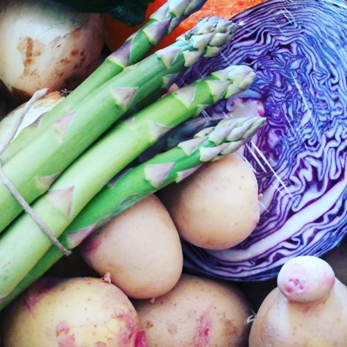 32673265_1096649663808127_5115985556311900160_n.jp 32673265_1096649663808127_5115985556311900160_n.jp