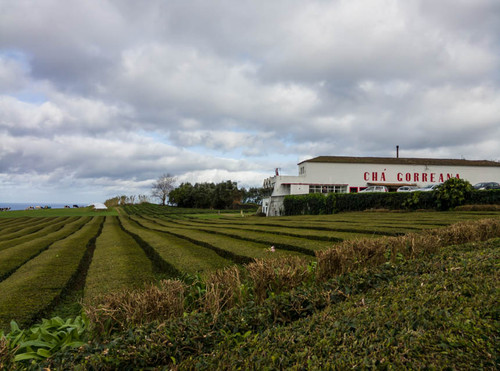 IMG_20151205_125200.jpg IMG_20151205_125200.jpg