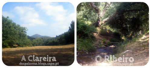 Percurso para cascata de Milfontes