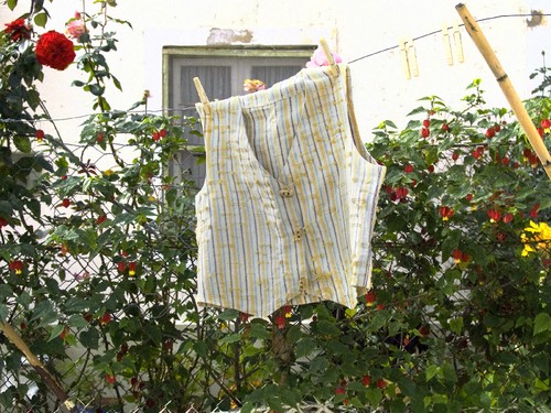 20101107 colete HR (29).jpg