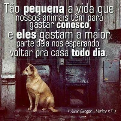 13466215_1038856792828601_6679793884138040964_n.jp