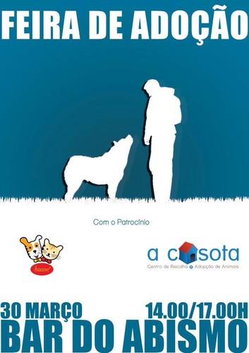 Em busca de um melhor amigo...