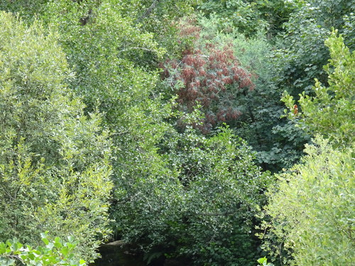 senhora do desterro 024.jpg