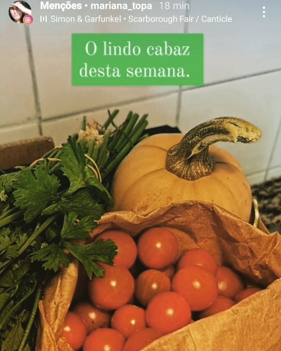 119138469_1806494456156974_499460631799569744_o.jp