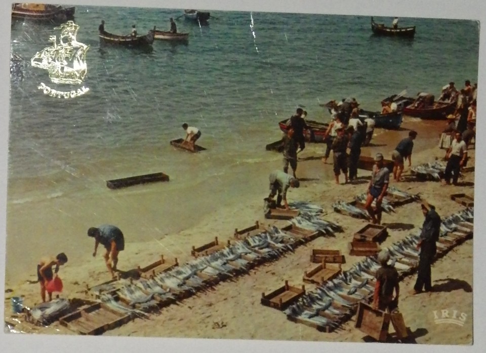 postal_sesimbra_lota_peixe_iberex_F672_circ_v.JPG postal_sesimbra_lota_peixe_iberex_F672_circ_v.JPG