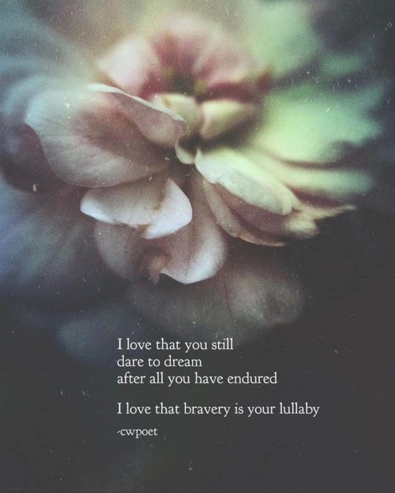 94138000_2841613792575027_2962742687880445952_n.jp