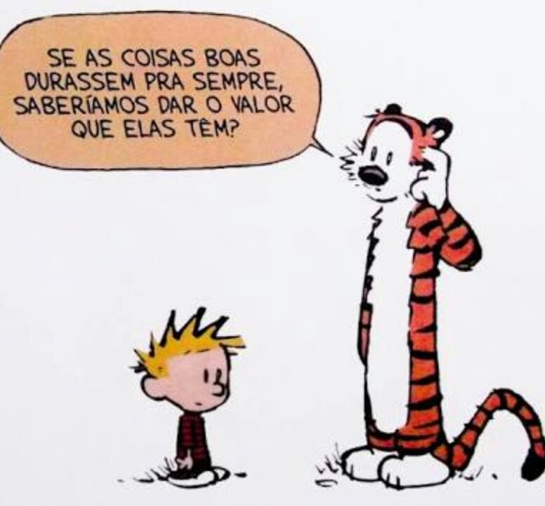 tirinha-de-calvin-e-hobbes.jpg