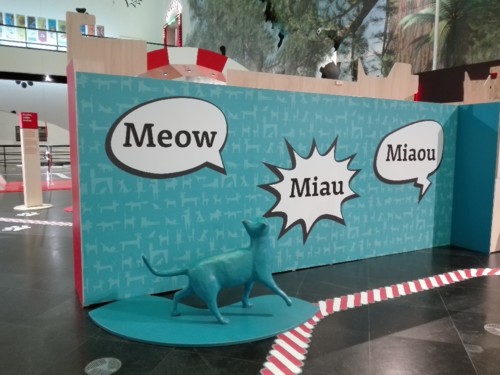 IMG_20190120_133351.jpg IMG_20190120_133351.jpg