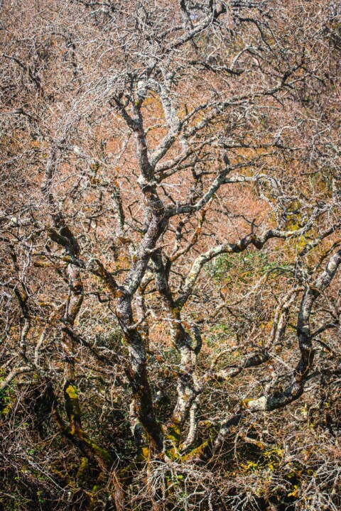 montachique marco 5.jpg