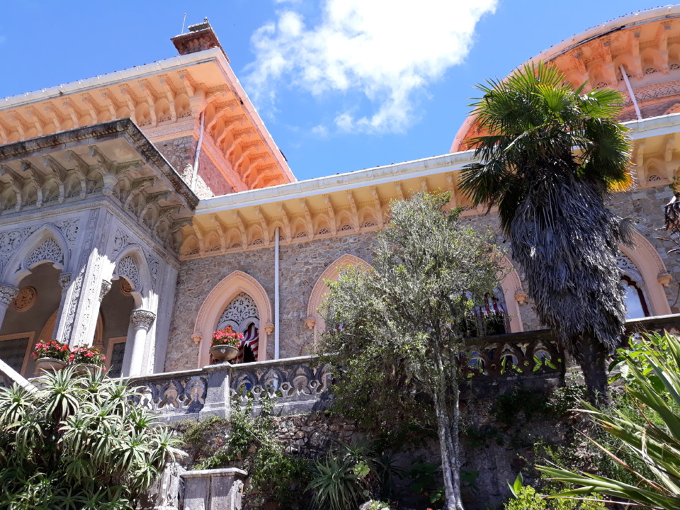 20200816_130540.jpg 20200816_130540.jpg