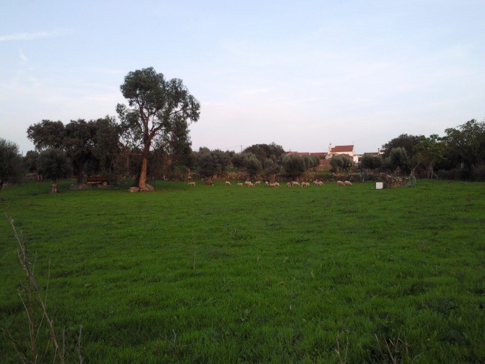 Aldeia. Vale de Baixo. Foto Original. 2014. jpg