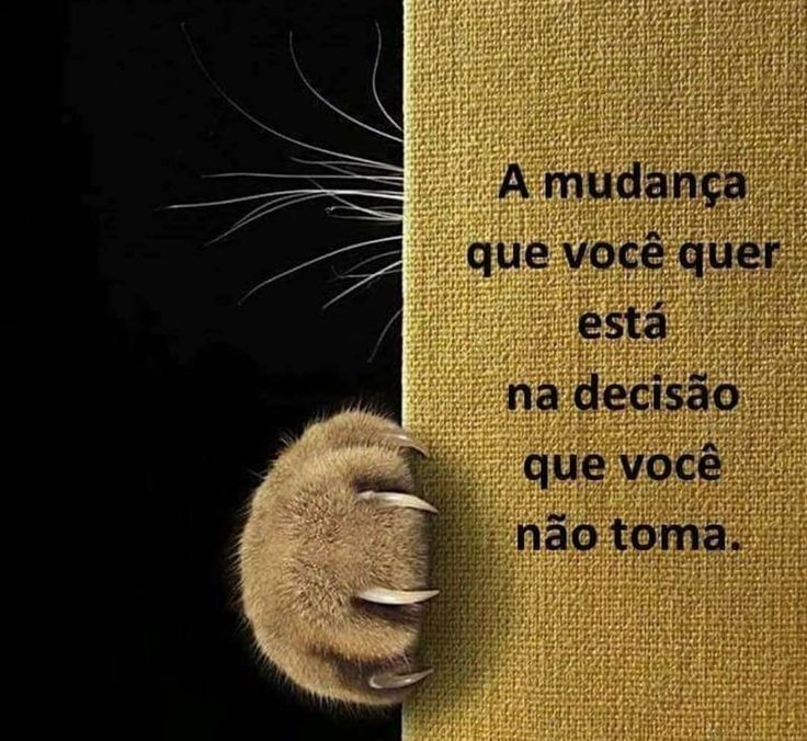 f44d2d5a985f8bbc2ff0460cfed131cb.jpg f44d2d5a985f8bbc2ff0460cfed131cb.jpg