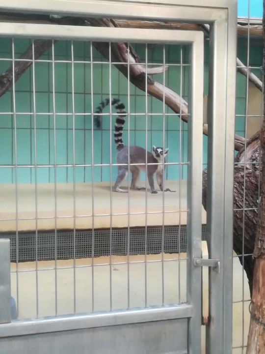 55818921_2332471680365542_2655280560573775872_n.jp