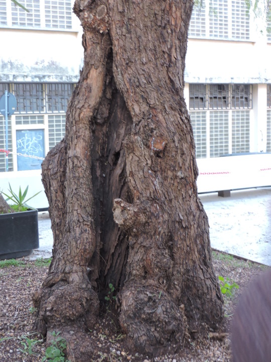 DSCN4509.JPG DSCN4509.JPG