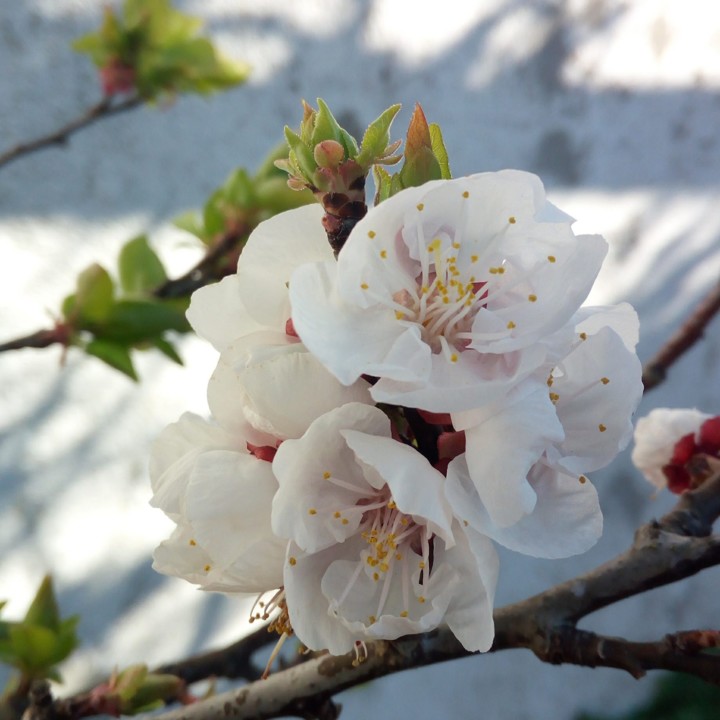 20200301_090556.jpg 20200301_090556.jpg