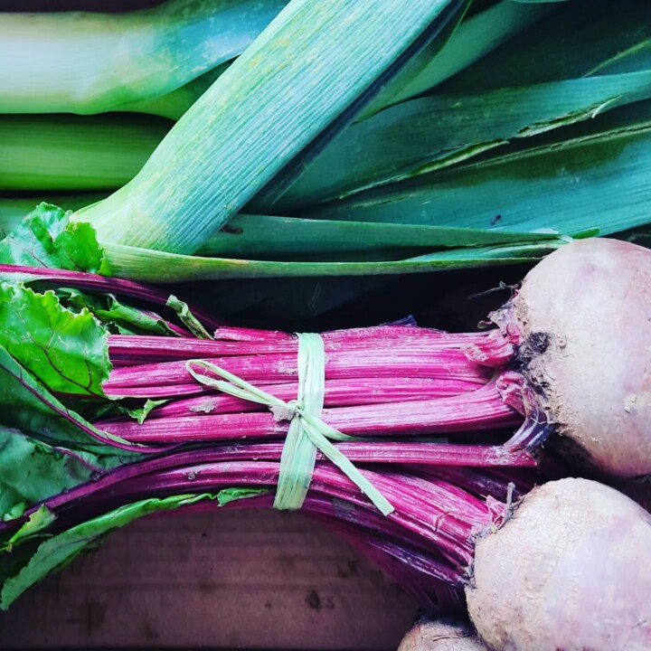 561944116_18504211561066958_3547495347174328912_n.