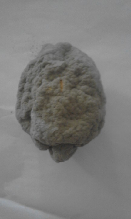 Foto original. 2020. 04. jpg