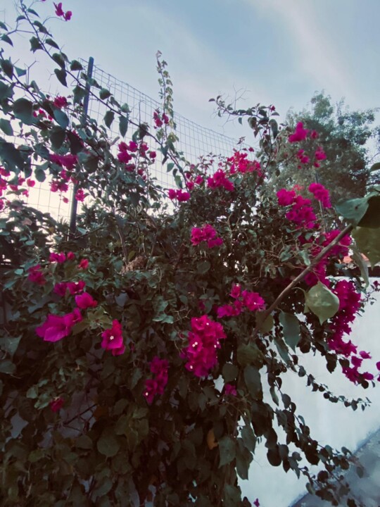 WhatsApp Image 2025-09-06 at 21.46.27.jpeg