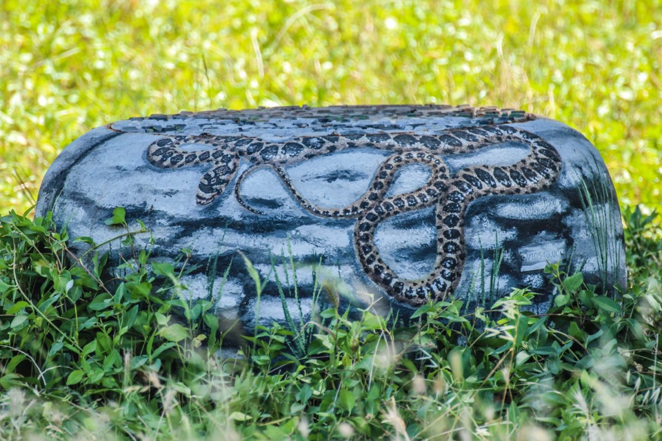 trilho das vinhas-5.jpg