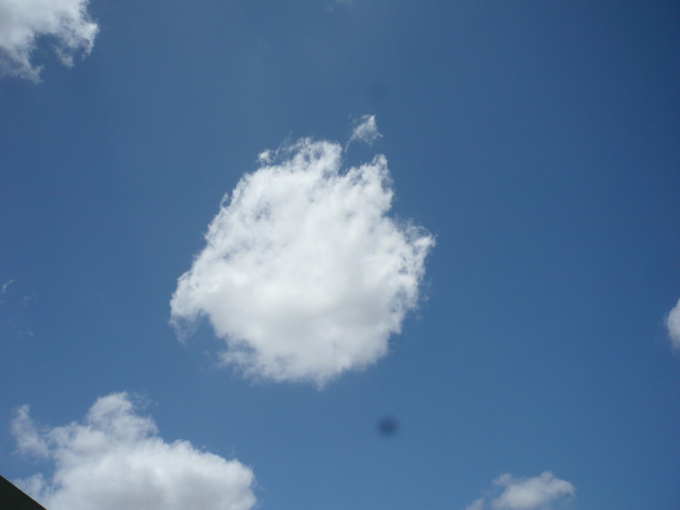 P1050349.JPG P1050349.JPG