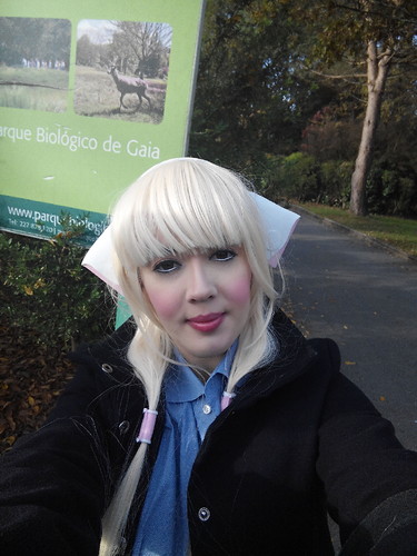 IMG_20161208_094126.jpg IMG_20161208_094126.jpg