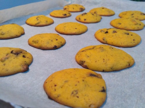 IMG_20170921_220102.jpg IMG_20170921_220102.jpg