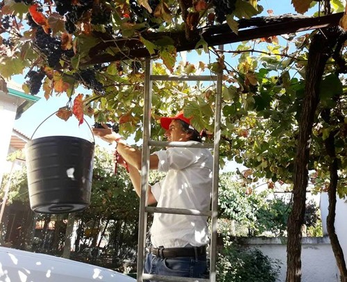 Sessão do PS em Padornelo 20 Set 2017 d.jpg