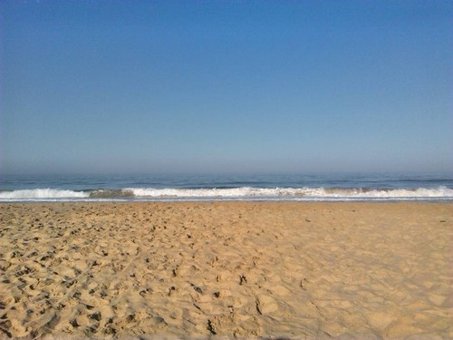 13932868_10208149200546351_8547262436888640753_n.j