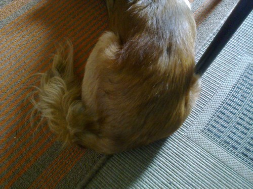 meia migas encostada.jpg