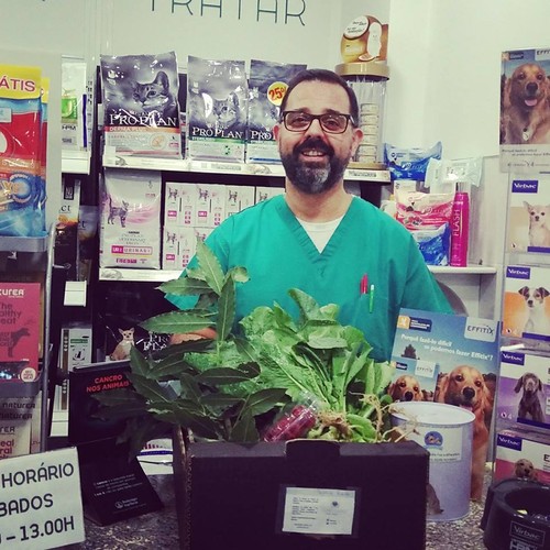 21731229_963826247090470_4308611372861156397_n.jpg 21731229_963826247090470_4308611372861156397_n.jpg