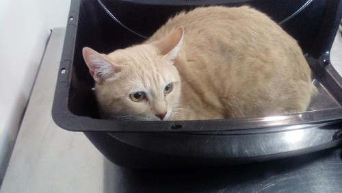 IMG_20161028_161150.jpg IMG_20161028_161150.jpg