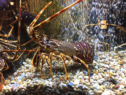 Slide1.png Slide1.png