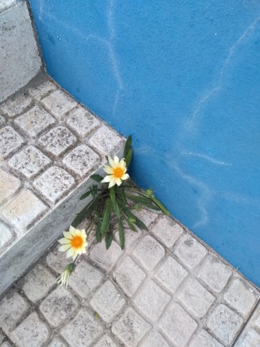 IMG_20180505_142722.jpg IMG_20180505_142722.jpg