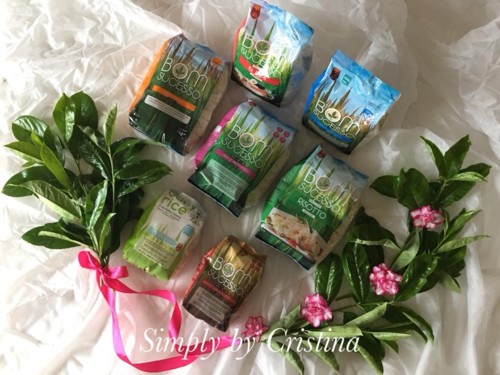 33224609_1228594777275158_2476253438774607872_n.jp