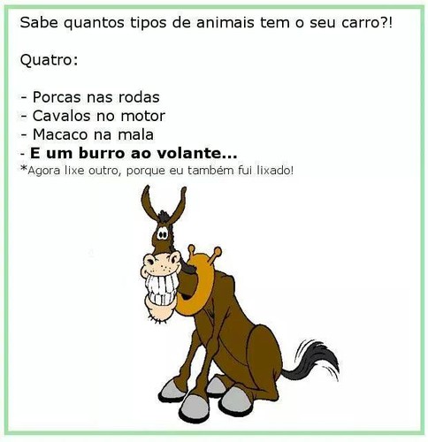 animais q tem o seu carro