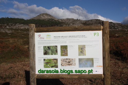 Biodiversidade_Freita_11.JPG Biodiversidade_Freita_11.JPG