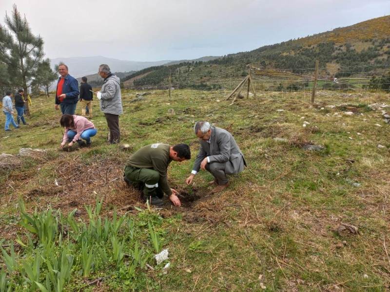 semana da floresta sistelo3.jpg