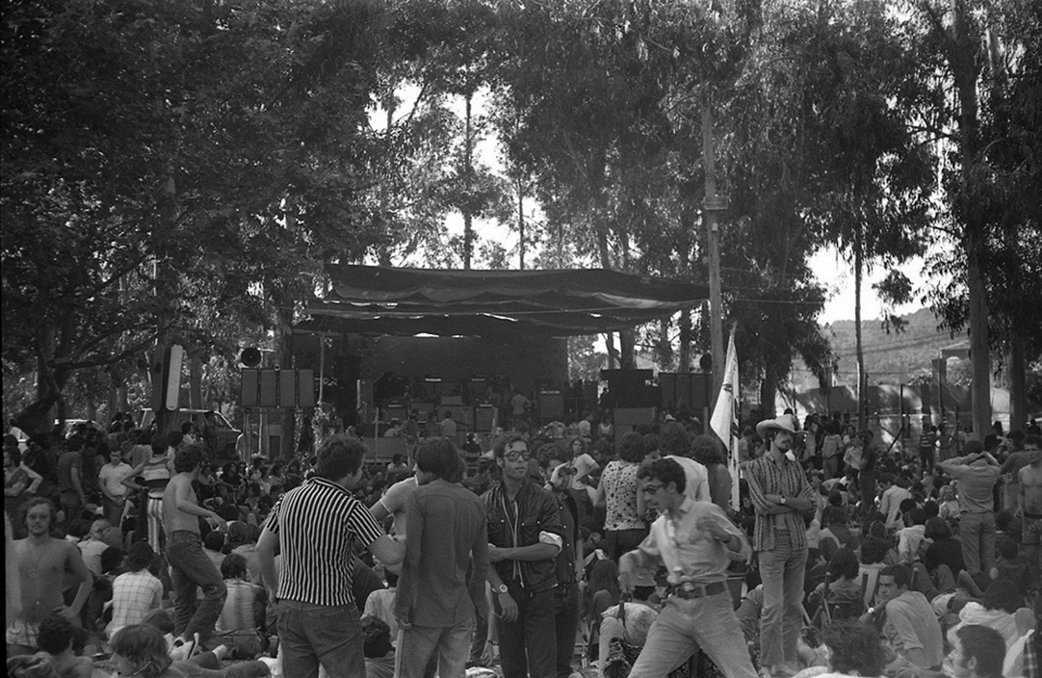 240679529_877954549515669_3748184300313330174_n.pn