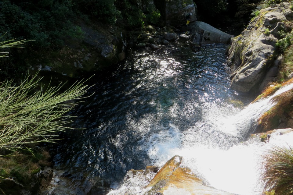 IMG_4696.JPG IMG_4696.JPG