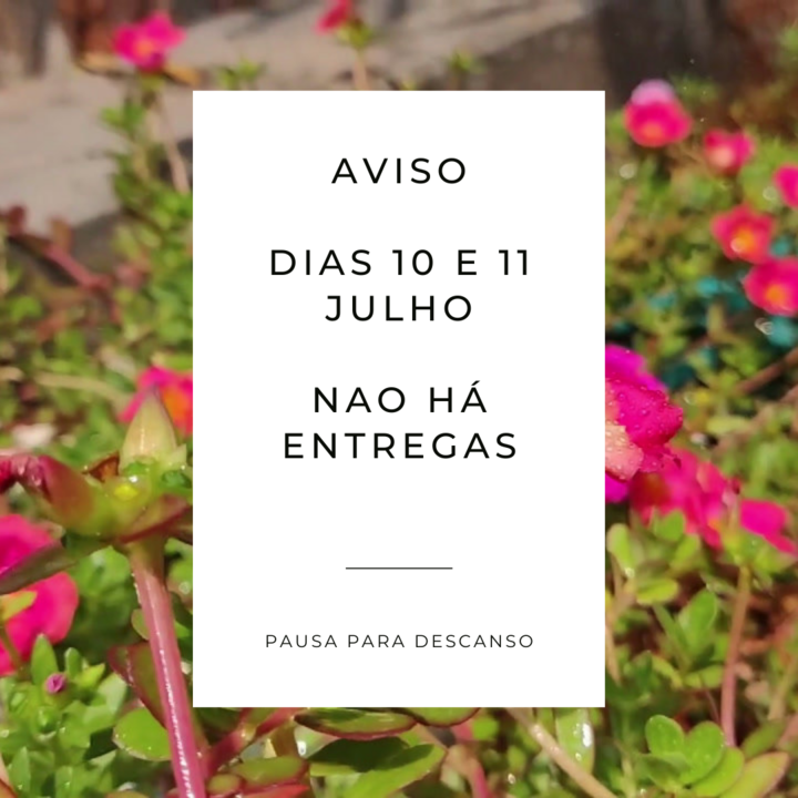 Pausa10Julho.png Pausa10Julho.png