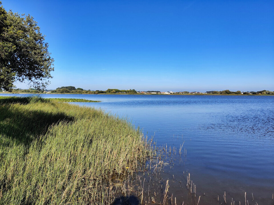 Lagoa quiaios2.jpg