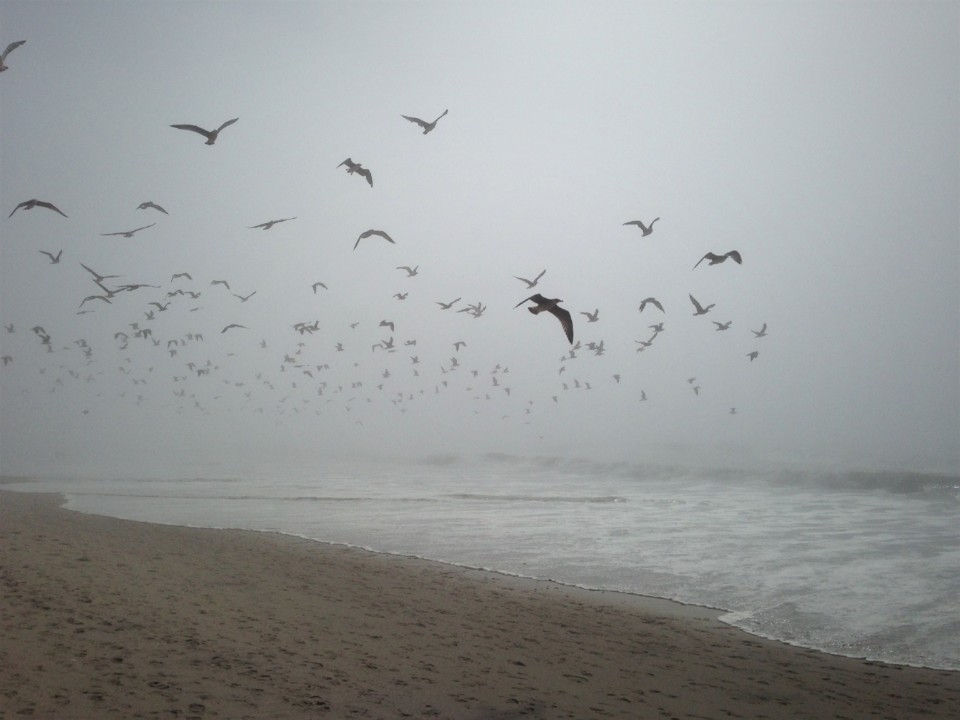 IMG_6300.JPG IMG_6300.JPG