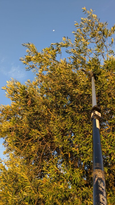 Imagem WhatsApp 2025-10-12 às 23.04.18_abc6fd36.j